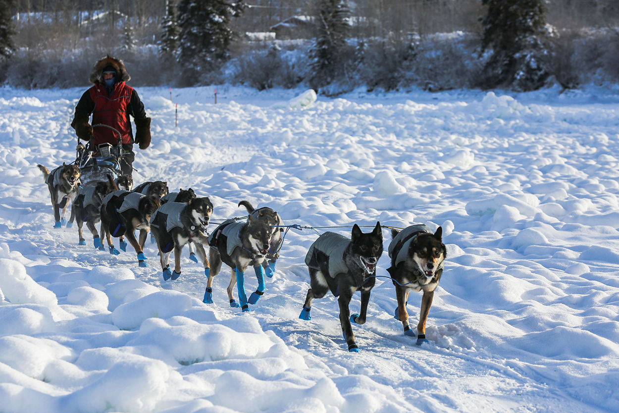 Yukon Quest - Carmacks